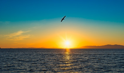 Similar image 21227350