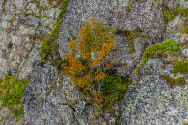 Similar image 21227377