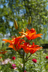 Similar image 21228561