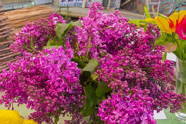 Similar image 21228564