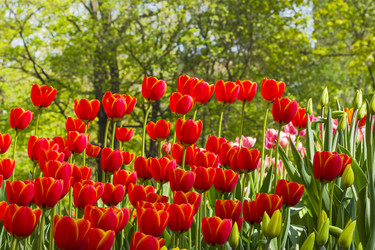 Similar image 21228567