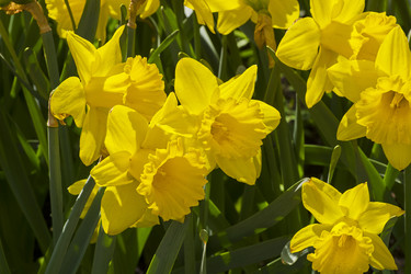 Similar image 21228568