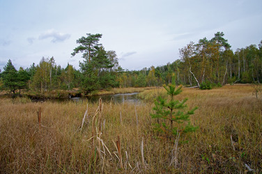 Similar image 21228572