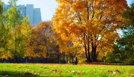 Similar image 21228435