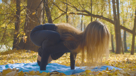 Similar image 21228440