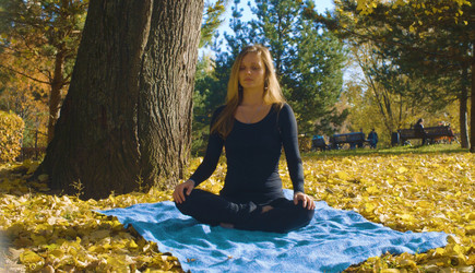 Similar image 21228443