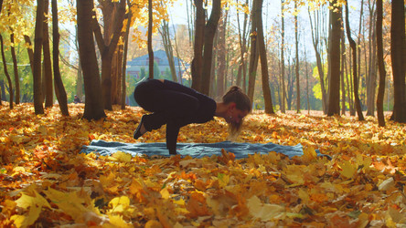 Similar image 21228445