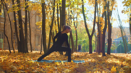 Similar image 21228448