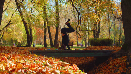 Similar image 21228449