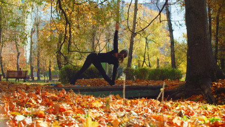 Similar image 21228451