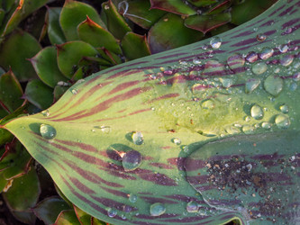 Similar image 21228767