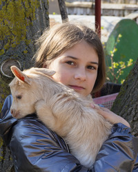 Similar image 21228768