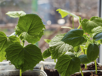 Similar image 21228769