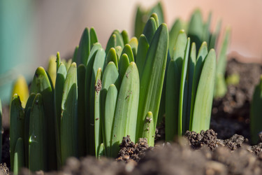 Similar image 21228772