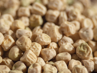 Similar image 21228774