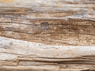 Similar image 21228776