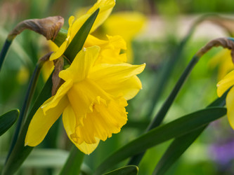 Similar image 21228779