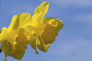 Similar image 21228780