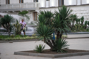 Similar image 21228392