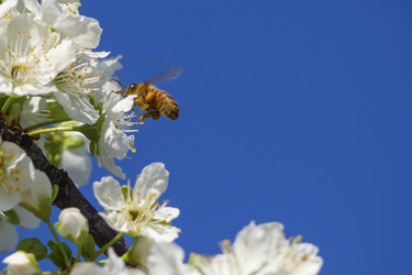 Similar image 21228757