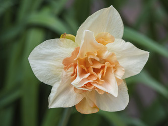 Similar image 21228760