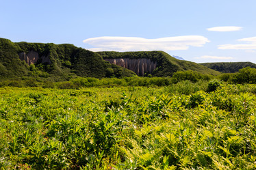 Similar image 21228225