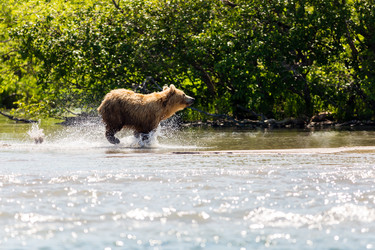 Similar image 21228226