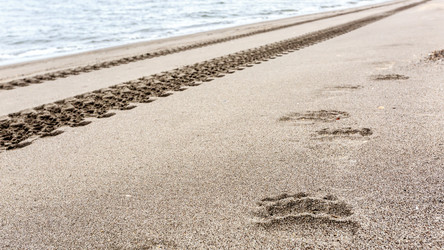 Similar image 21228227