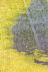 Similar image 21228237