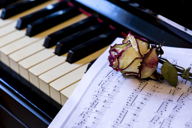 Similar image 21228238