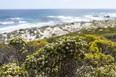 Similar image 21228244