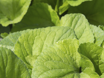 Similar image 21228785