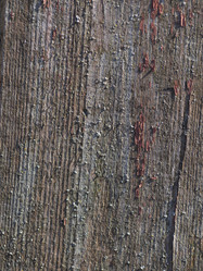 Similar image 21228787