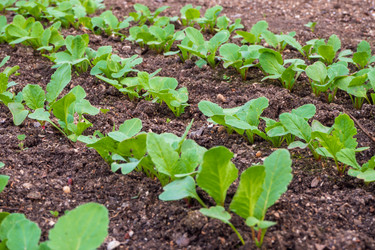 Similar image 21228789