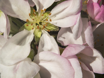 Similar image 21228794