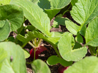 Similar image 21228795