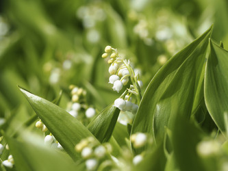 Similar image 21228796