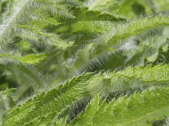 Similar image 21228797