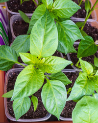 Similar image 21228798