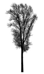 Similar image 21239097