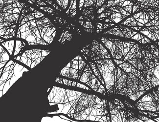 Similar image 21239098