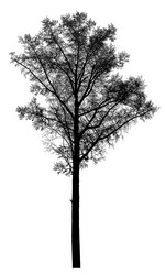 Similar image 21239101