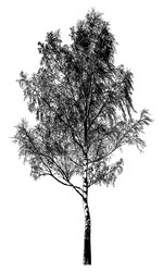 Similar image 21239102