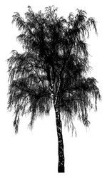 Similar image 21239103