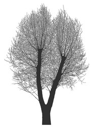 Similar image 21239106