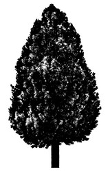 Similar image 21239107