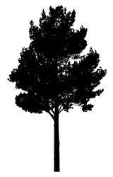 Similar image 21239110