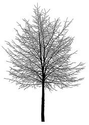 Similar image 21239111