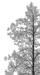 Similar image 21239113