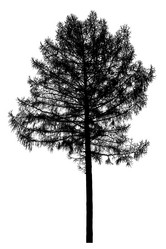 Similar image 21239116